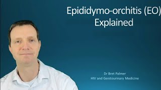 Epididymoorchitis EO explained 49 [upl. by Philbert]