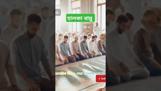 হালকা বায়ুFacebook wwwfacebookcomIslamicMusic01islamik biral story sikhane comidahistory [upl. by Yemirej]