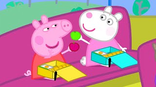 Le Voyage Scolaire  Peppa Pig Français Episodes Complets [upl. by Adianes6]