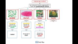 videomappa  scienze  2 i regni dei viventi [upl. by Elleivad293]