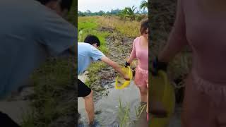 Catching a Whole Nest of Ground Eyed Fish in the Field Accidentally Encountering a Terrible Snake [upl. by Guglielmo]