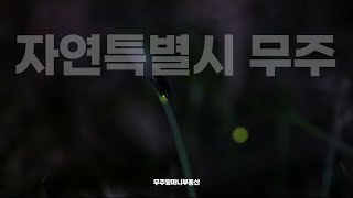 무주땅마니부동산입니다 [upl. by Enimrac]