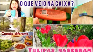 VLOG ROTINA DA CASA E PASSEIO NO PARQUE [upl. by Soracco802]