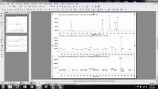 Analyzing Mass Spec Data [upl. by Anircam]