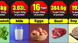 What Does 100g Of Protein Looks Like In Different Foods [upl. by Egduj]