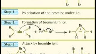 Halogenation of Alkeneits Mechanism and Stereochemistry [upl. by Netaf]