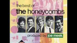 The Honeycombs  Something I got to tell you [upl. by Emixam]