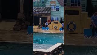 adrijabanerjee sealionshow safaripark marinepark [upl. by Rame]