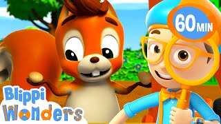 Squirrel What Nut should I choose  Blippi Wonders  Rescue Adventures [upl. by Animsay134]