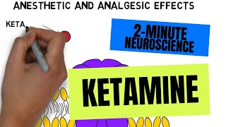 2Minute Neuroscience Ketamine [upl. by Omocaig989]