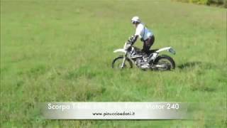 Scorpa T Ride 250 F vs Fantic Motor 240 [upl. by Edmond242]