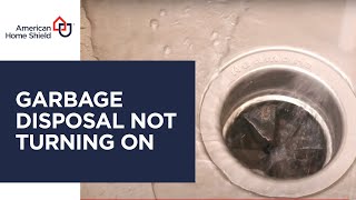 Garbage Disposal Not Turning On [upl. by Botsford]