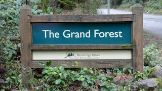 The Grand Forest Bainbridge Island  NorthwestMom [upl. by Itch]