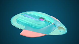 Fate Map during Gastrulation  3D Human Embryology  Third Week Embryology [upl. by Sall]