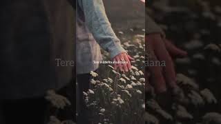 Tu hai jo roobaroo mere 💞  WhatsApp status  Aesthetic vibe 💫 [upl. by Matrona542]