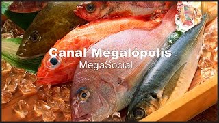 SALUD La Otra Cara del Pescado  Documentales [upl. by Eiramyelhsa]