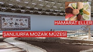 HALEPLİ BAHÇE MOZAİK MÜZESİ  HAMARAT ELLER  ŞANLIURFA [upl. by Ellenhoj]