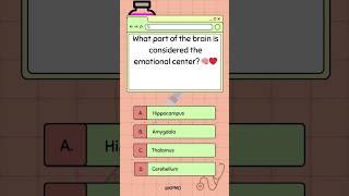 🧠❤️ Discover the Brains Emotional Center—Do You Know Where mededtrivia biologybrainteasers [upl. by Adniram881]