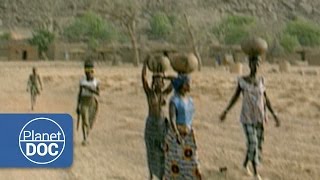 Dogon Tribe  Tribes amp Ethnic Groups  Planet Doc Full Documentaries [upl. by Ahtelra]