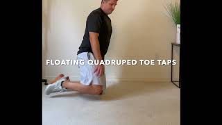 Floating Quadruped Toe Taps [upl. by Nybor]