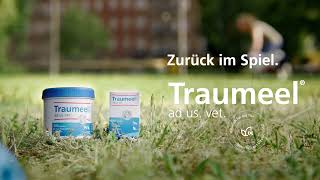 Traumeel® ad us vet [upl. by Ern]