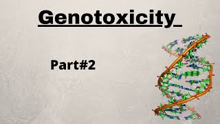 Genotoxicity part2Clastogenic breaks in DNAMicronucleus testComet assay techcytometric analysis [upl. by Nonnek]