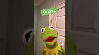 Flipping Camera TIKTOK Trend Dramatic Sad Violin With Kermit The Frog [upl. by Aldin]