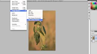 How to Flip a JPEG  Sharpen Your Computer Skills [upl. by Balkin615]