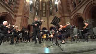 FA Hoffmeister Viola Concerto 3rd movement played on a mezzoforte cf viola [upl. by Eilis536]