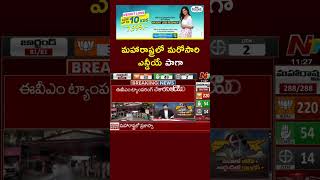 మహారాష్ట్రలో మరోసారి ఎన్డీయే పాగా  Maharashtra Election Results 2024  Ntv [upl. by Tacklind]