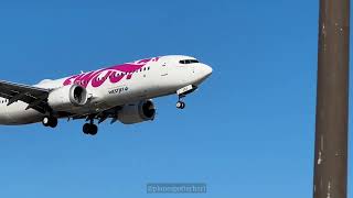 WestJet Swoop Livery Boeing 737 MAX 8 Plane Landing at Toronto YYZ Airport from Cancun aviation [upl. by Vanden]