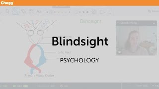 Blindsight  Psychology  Chegg Tutors [upl. by Caro]