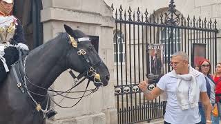 Dont touch the horse its bitting horseguardsparade [upl. by Alegnaoj]