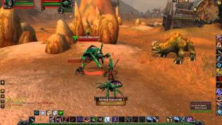 Silithid Harvester Tame  Rare Green Beetle in Southern Barrens [upl. by Trueman]