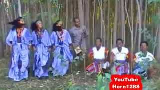 Ethiopian Traditional Music  ዋኘው አሸናፊ  እሪኩም [upl. by Phelgen644]