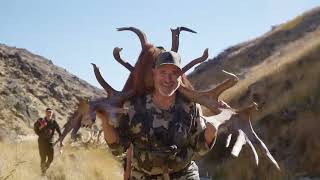 Red stag hunt in New Zealand the full experience [upl. by Enram502]