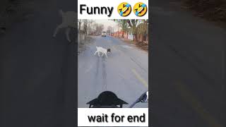 Funny video 😂😂shorts funny [upl. by Lener971]