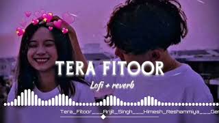 Tera Fitoor slowed and Reverb lofi song Mr dj music official [upl. by Regor]