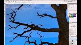 Photoshop Tip How to fix sharpening edge halos in Photoshop [upl. by Eiznyl]