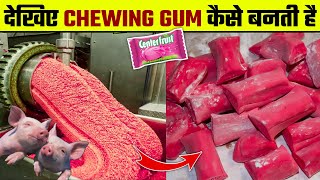 Chewing Gum कैसे बनती है Chewing Gum kaise Banti Hai  How Chewing Gum is Made  Chewing Gum Making [upl. by Esnahc]