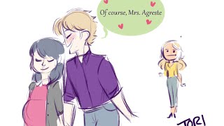 quotMr and Mrs Agrestequot Miraculous Ladybug Comic Dub [upl. by Eyllib]