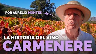 La Historia del Carmenere [upl. by Stewardson272]