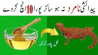 How to Use Sanda Oil  Sandy Ka Tel Ke Fayde  Sanda Oil Benefits  Sanda Oil Uses  Lizard Oil Uses [upl. by Norita]