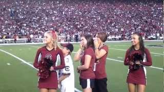 Surprise Military Family Welcome Home at South Carolina Football Game [upl. by Aikehs519]