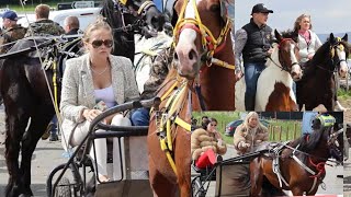 Great Crowd Appleby Horse Fair Women and Horses on Carriage Cart [upl. by Bunde]