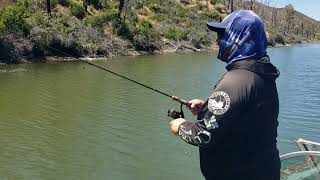 Lake Berryessa crappie fishing catch n cook [upl. by Orelle]