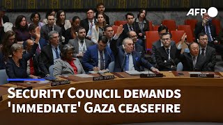 UN Security Council for first time demands immediate Gaza ceasefire US abstains  AFP [upl. by Nnaaras]