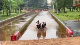 Team Mijar Prasad Nilaya Moodbidri kudi kambala 2024 [upl. by Tyrus]