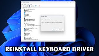 How To Reinstall Keyboard Driver In Windows 11 amp 10 [upl. by Asillam]