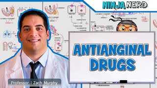 Antianginal Drugs [upl. by Kynthia]